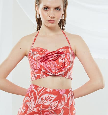 Camellia flower top